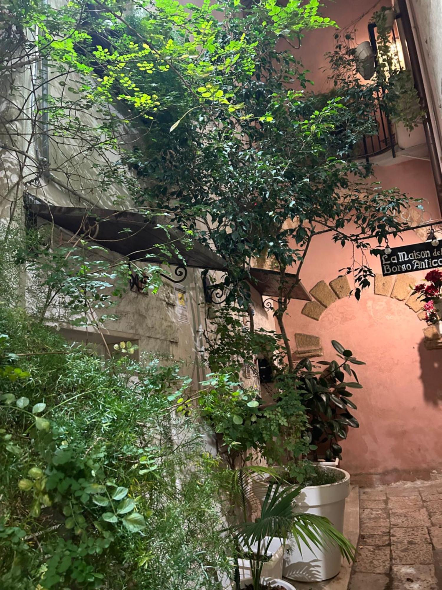 B&B Bari Vecchia R מראה חיצוני תמונה