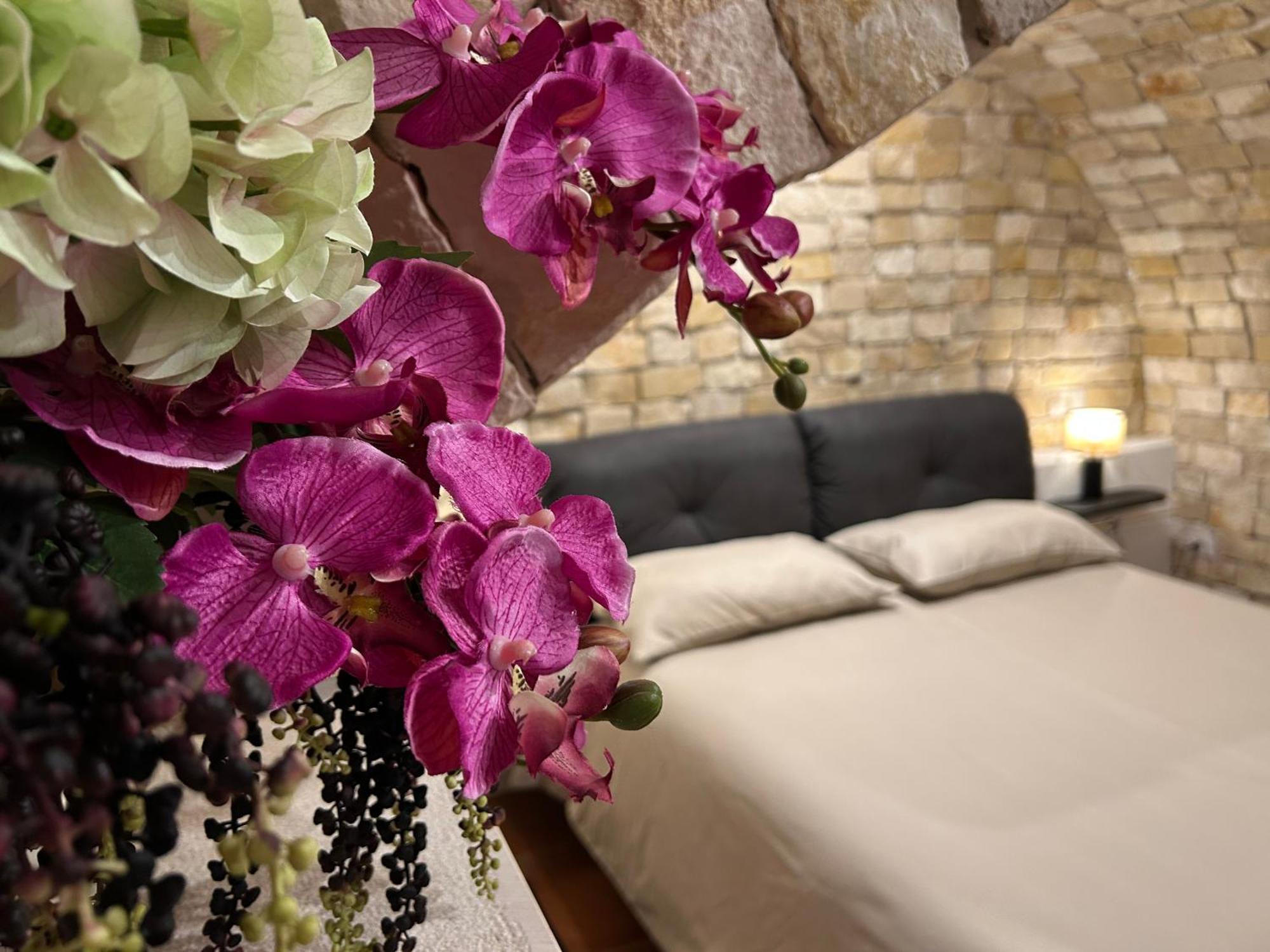 B&B Bari Vecchia R מראה חיצוני תמונה
